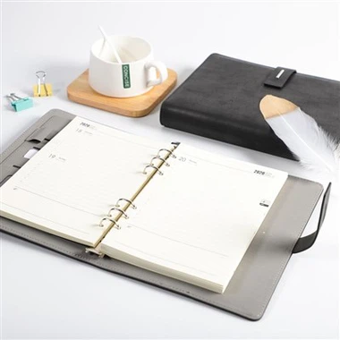 Binder Bullet Journal